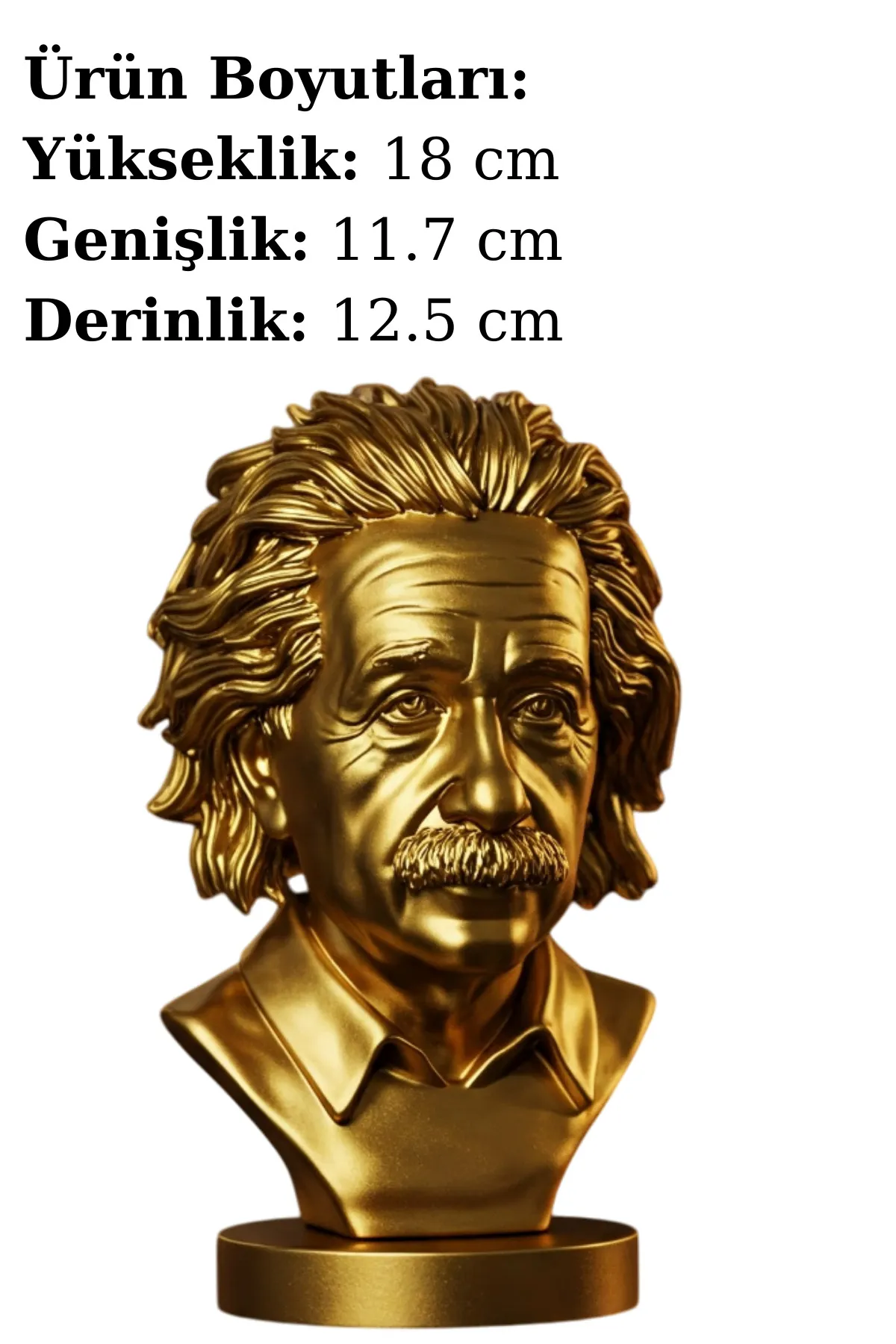 Albert Einstein Büstü v1 - Altın Rengi– Modern Fiziğin Dehası & Nobel Ödüllü Bilim İnsanı - Görsel 2